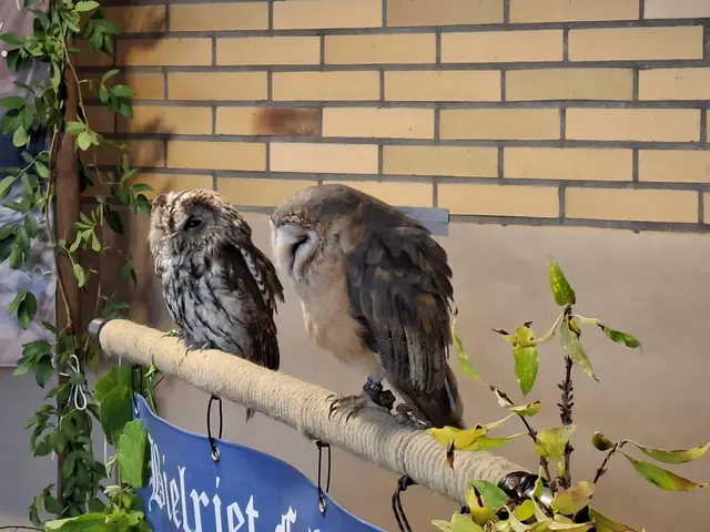 Vogelschau Untermünkheim | Foto: Ralf Röser