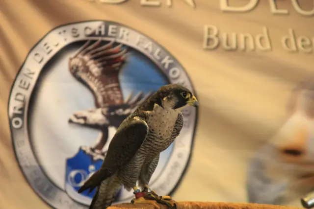 Vogelschau Untermünkheim | Foto: Ralf Röser