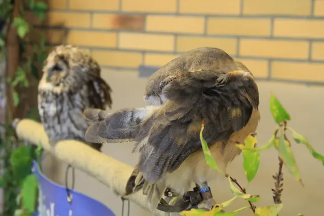Vogelschau Untermünkheim | Foto: Ralf Röser