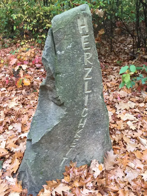 Foto: Heide Böllinger aus Bad Friedrichshall