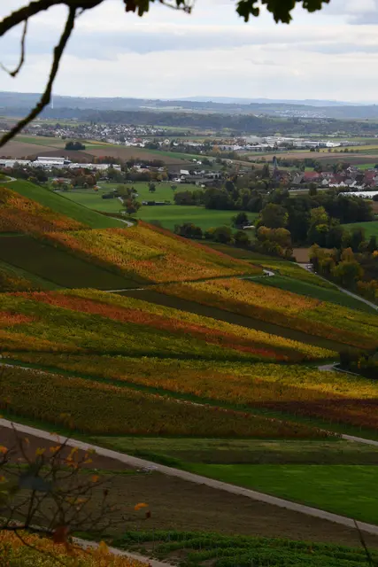 Blick Richtung Dürrenzimmern | Foto: JuKo