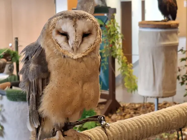 Vogelschau Untermünkheim | Foto: Ralf Röser
