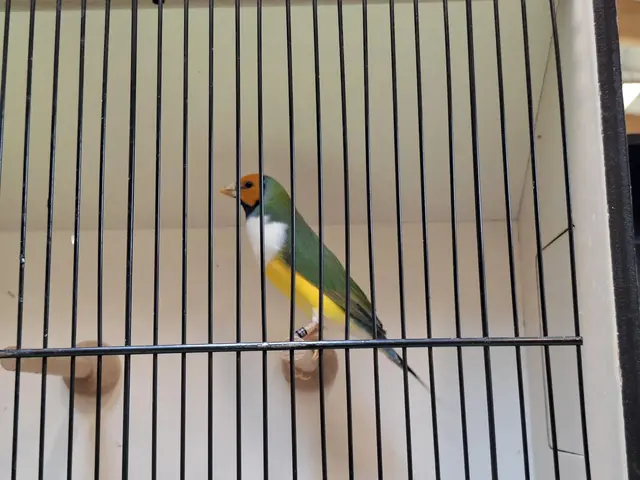 Vogelschau Untermünkheim | Foto: Ralf Röser