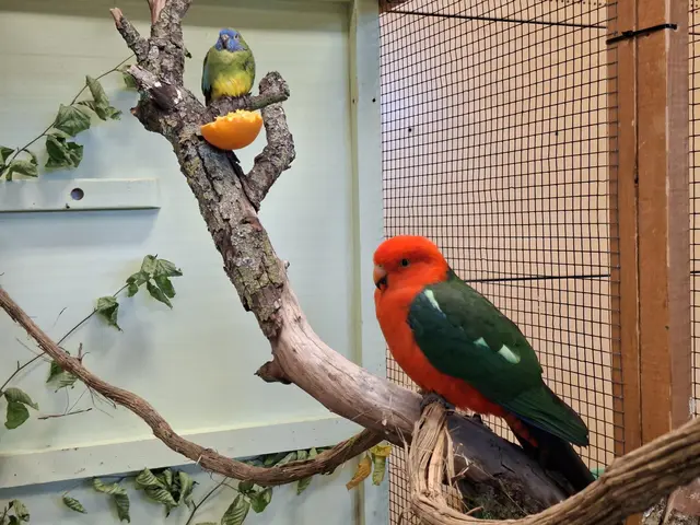 Vogelschau Untermünkheim | Foto: Ralf Röser