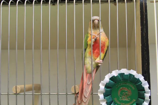 Vogelschau Untermünkheim | Foto: Ralf Röser