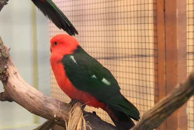 Vogelschau Untermünkheim | Foto: Ralf Röser