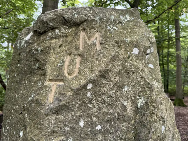 Foto: Heide Böllinger aus Bad Friedrichshall