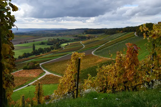 Blick Richtung Schloss Stocksberg 2 | Foto: JuKo
