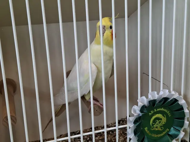 Vogelschau Untermünkheim | Foto: Ralf Röser