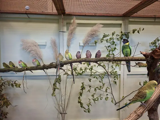 Vogelschau Untermünkheim | Foto: Ralf Röser