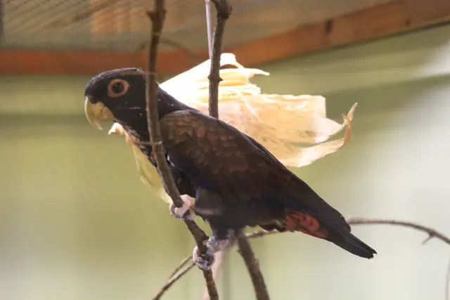 Vogelschau Untermünkheim | Foto: Ralf Röser