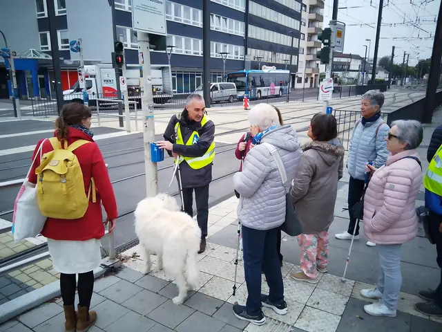 Wolfgang Heiler erklärt die Funktion der Fibrationsplatte am Bahnübergang | Foto: Martin Haug
