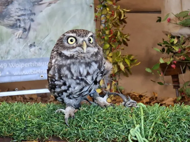 Vogelschau Untermünkheim | Foto: Ralf Röser