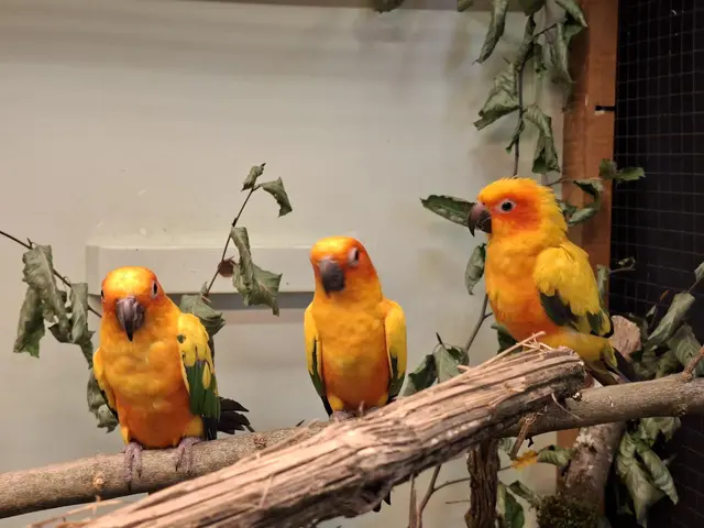 Vogelschau Untermünkheim | Foto: Ralf Röser