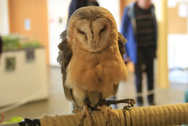 Vogelschau Untermünkheim | Foto: Ralf Röser