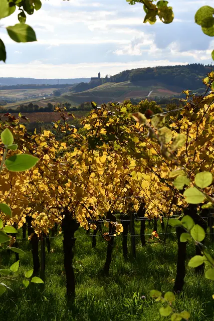 Schloss Stocksberg | Foto: JuKo