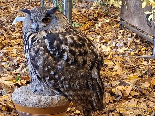 Vogelschau Untermünkheim | Foto: Ralf Röser