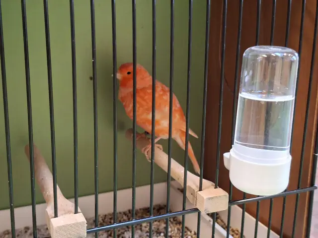 Vogelschau Untermünkheim | Foto: Ralf Röser