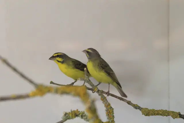 Vogelschau Untermünkheim | Foto: Ralf Röser