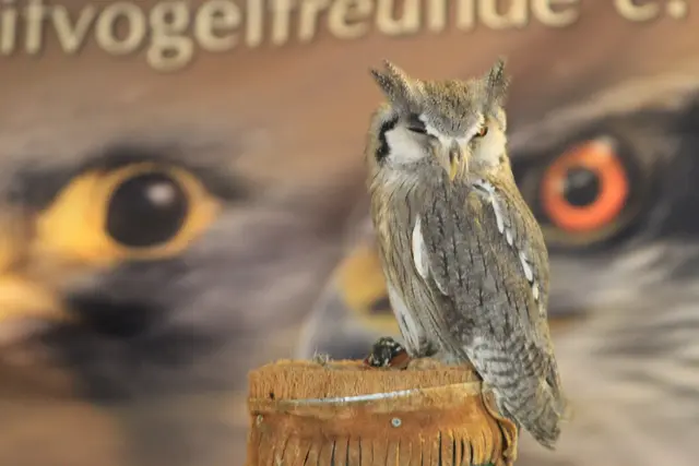 Vogelschau Untermünkheim | Foto: Ralf Röser