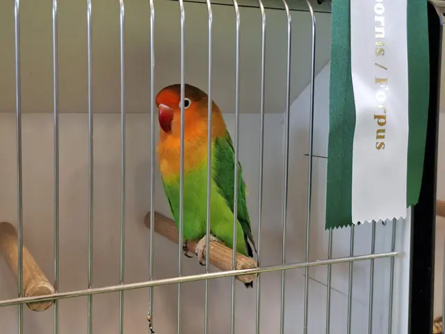 Vogelschau Untermünkheim | Foto: Ralf Röser