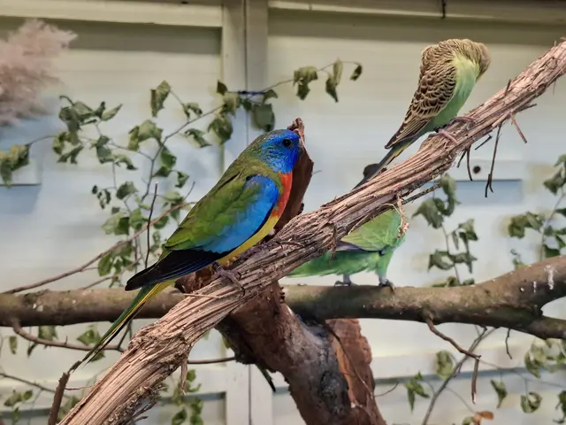 Vogelschau Untermünkheim | Foto: Ralf Röser