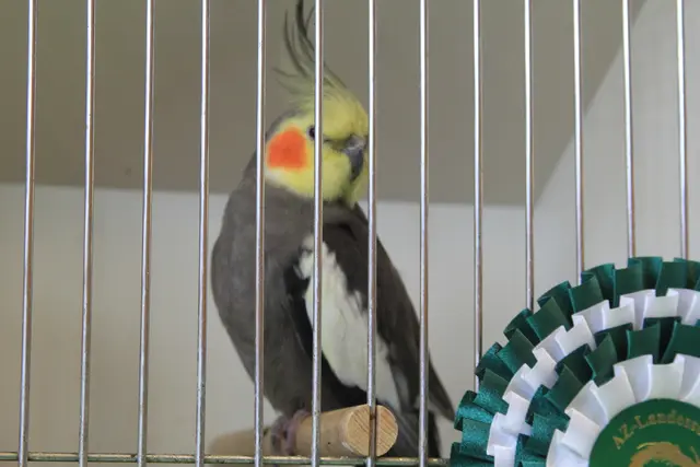 Vogelschau Untermünkheim | Foto: Ralf Röser