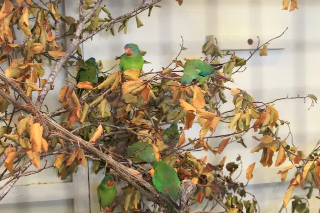 Vogelschau Untermünkheim | Foto: Ralf Röser