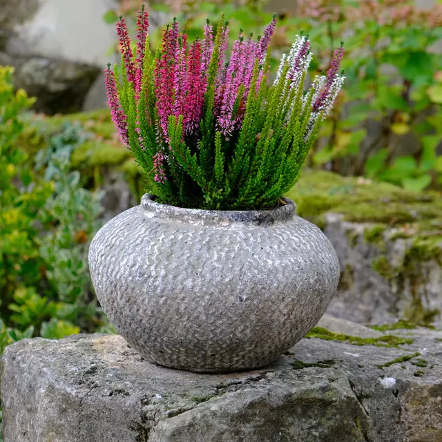 Foto: Eduard Warenik