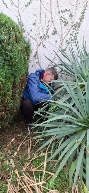 Foto: TSC Rot-Weiss Öhringen e.V.