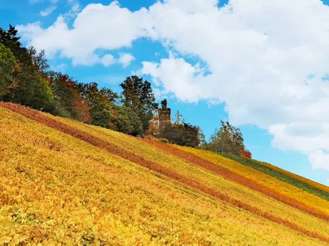 Der Wartturm im Herbst | Foto: KHW