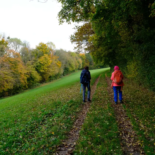 Foto: Eduard Warenik