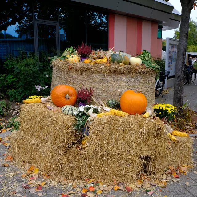 Foto: Eduard Warenik