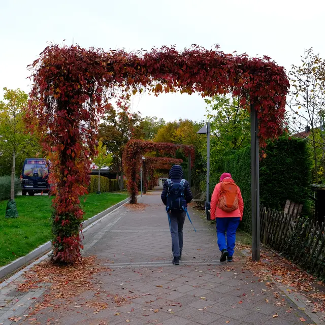 Foto: Eduard Warenik