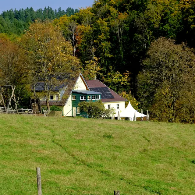 Foto: Eduard Warenik