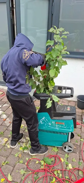Foto: TSC Rot-Weiss Öhringen e.V.