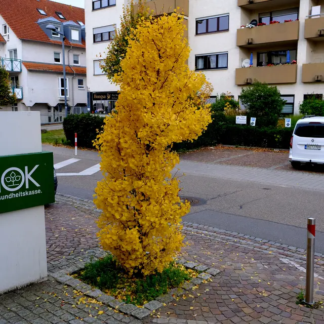 Foto: Eduard Warenik