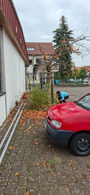 Foto: TSC Rot-Weiss Öhringen e.V.