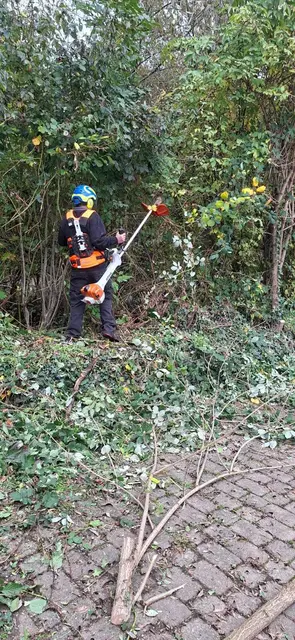 Foto: TSC Rot-Weiss Öhringen e.V.