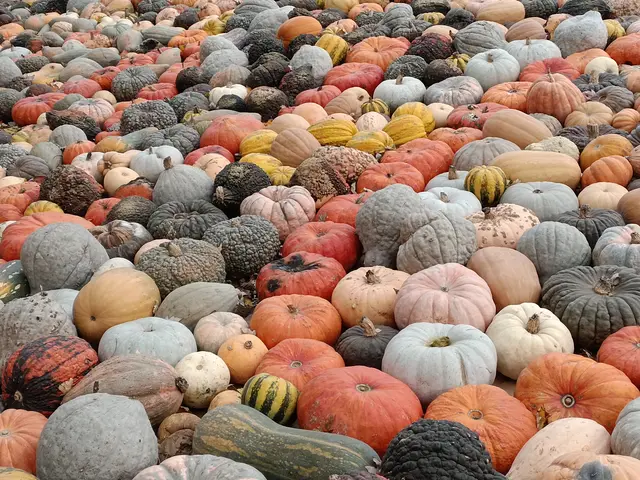 Foto: Eigenes Bild TB