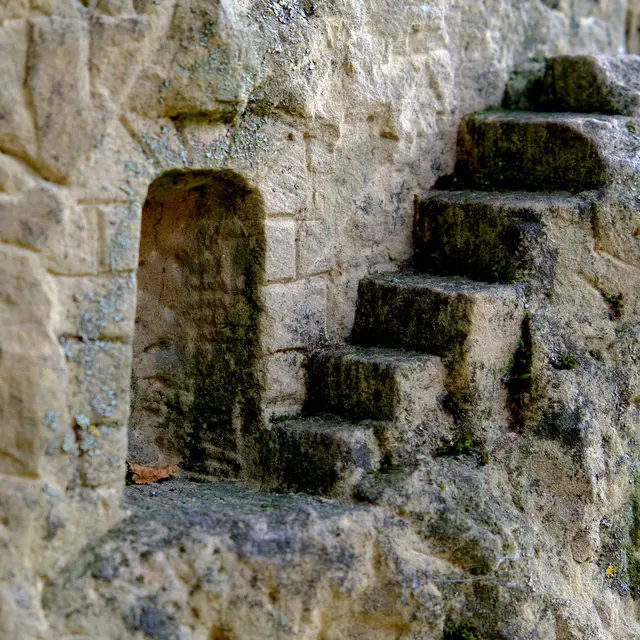 Foto: Eduard Warenik