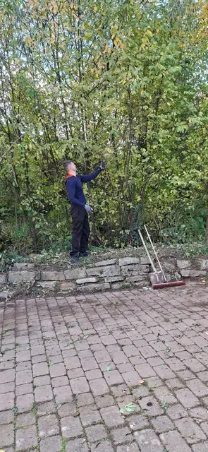 Foto: TSC Rot-Weiss Öhringen e.V.