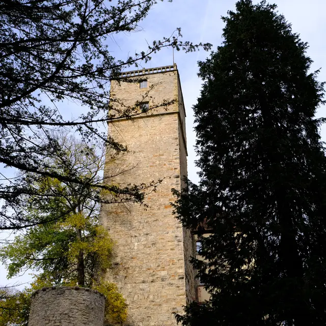 Foto: Eduard Warenik