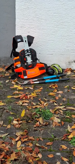 Foto: TSC Rot-Weiss Öhringen e.V.