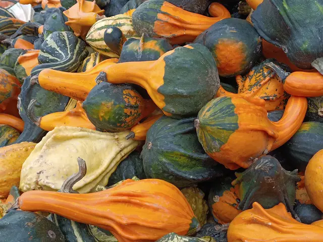 Foto: Eigenes Bild TB