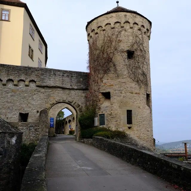 Foto: Eduard Warenik