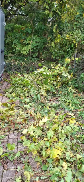 Foto: TSC Rot-Weiss Öhringen e.V.