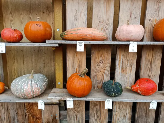 Foto: Eigenes Bild TB