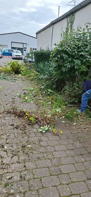 Foto: TSC Rot-Weiss Öhringen e.V.