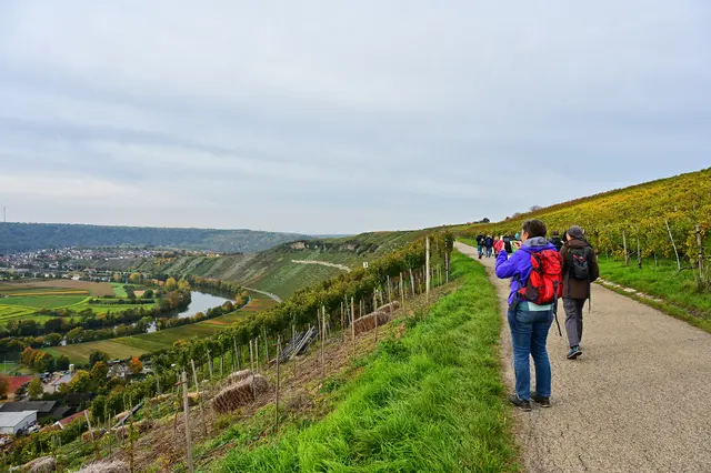 Schon bald wurden die Handys gezückt. | Foto: Michael Harmsen